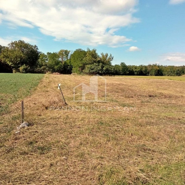 Elad� Telek, Csaj�g 6.990.000 Ft