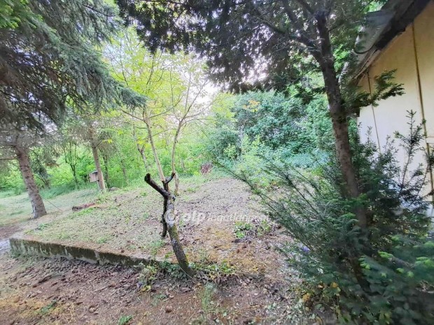 Eladó Telek, Gyomaendrőd