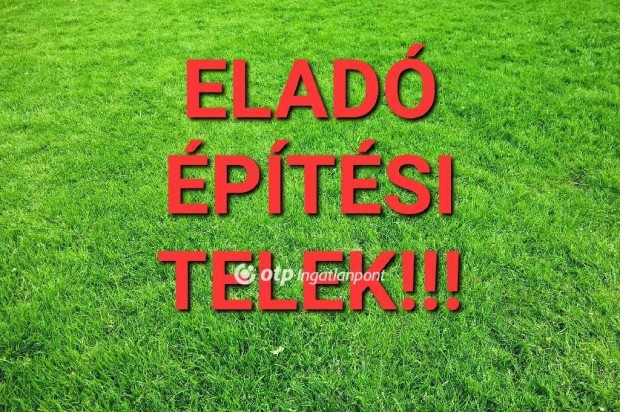 Elad Telek, Hajdbszrmny