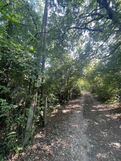 Elad� Telek, Miskolc 1.250.000 Ft