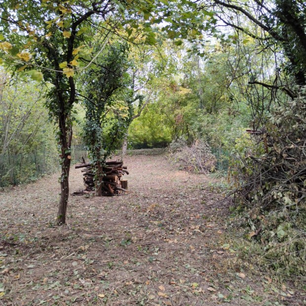 Elad� Telek, Miskolc 9.900.000 Ft