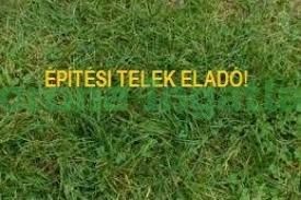 Elad� Telek, Ny�regyh�za 26.000.000 Ft