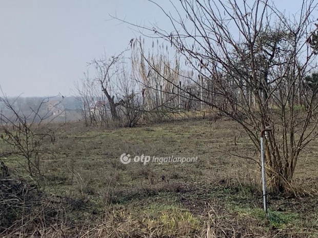 Eladó Telek, Nyíregyháza