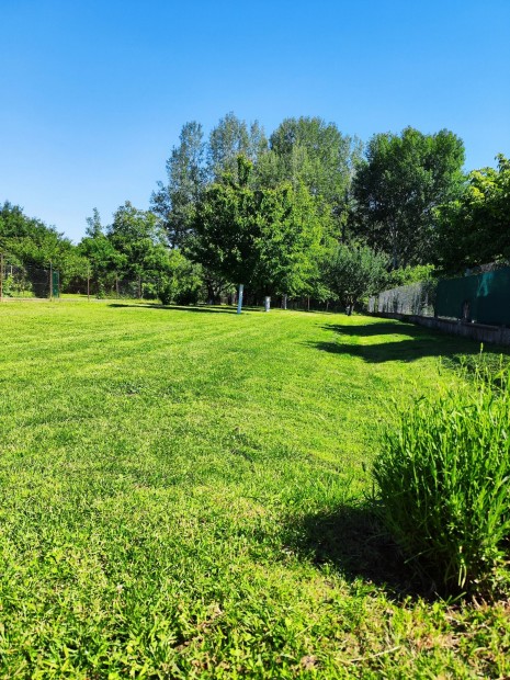 Elad� Telek, Onga 9.500.000 Ft