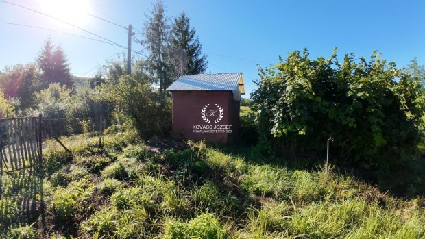 Elad� Telek, �zd 3.500.000 Ft