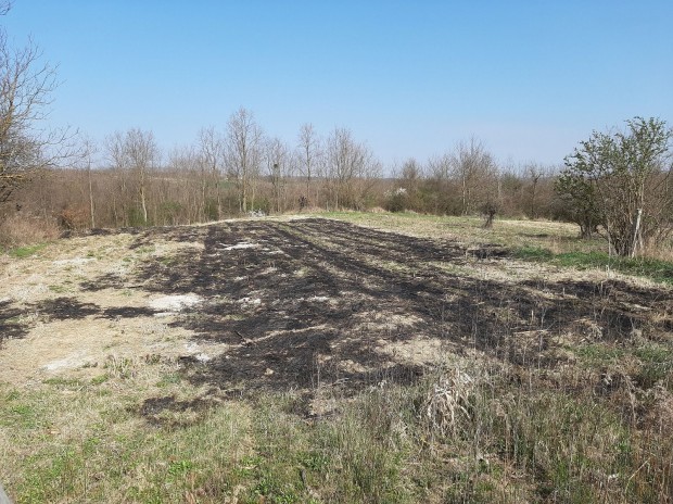 Elad� Telek, Patosfa 4.500.000 Ft