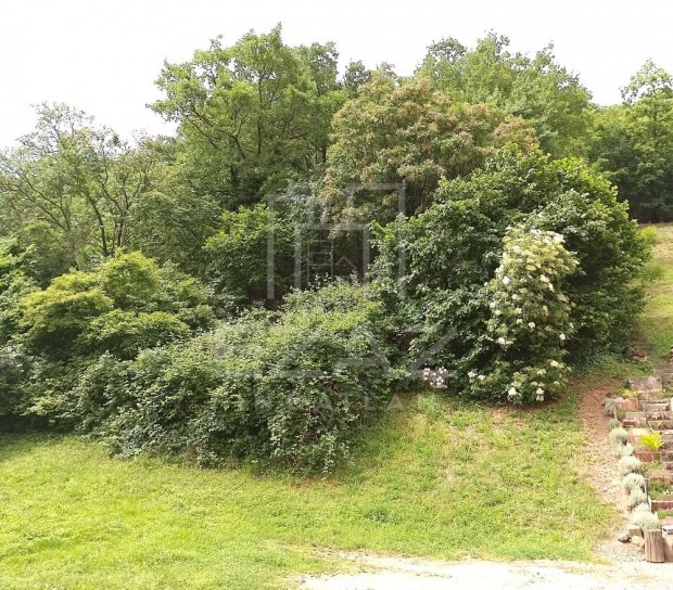 Elad� Telek, P�cs 12.500.000 Ft