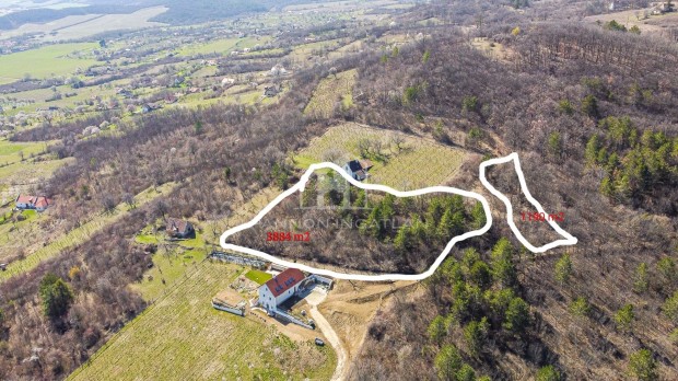 Elad� Telek, P�csely 9.900.000 Ft