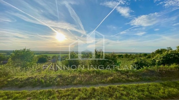 Elad� Telek, Soml�sz�l�s 6.900.000 Ft