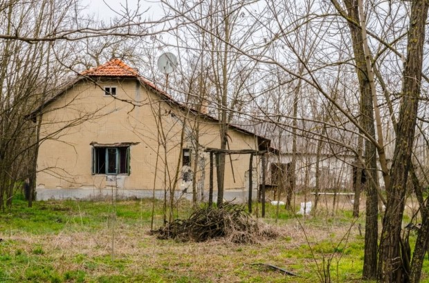 Elad� Telek, Szank 240.000.000 Ft