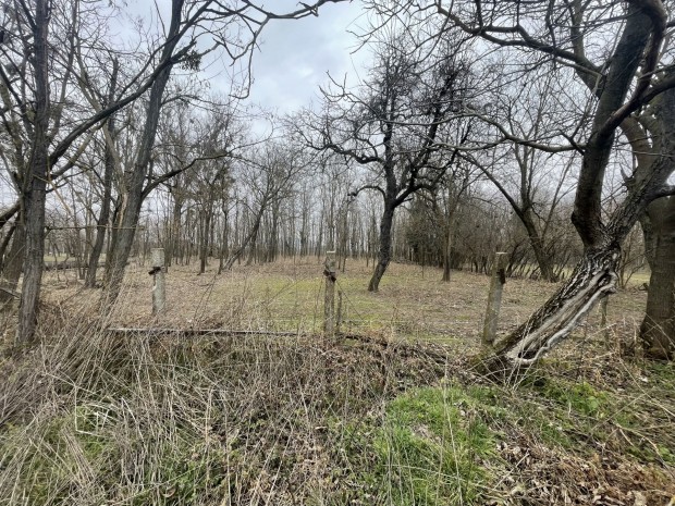 Elad� Telek, T�skev�r 4.500.000 Ft