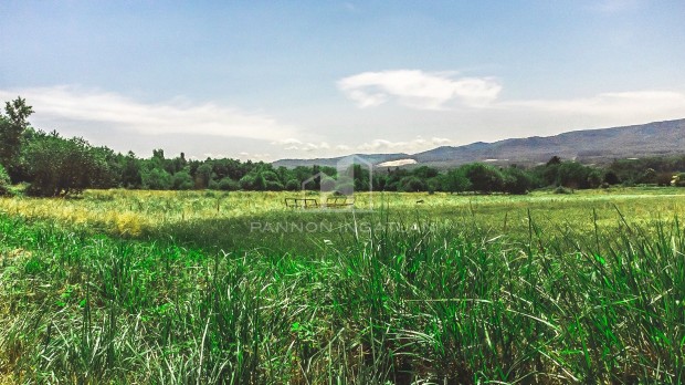 Elad� Telek, V�rv�lgy 19.900.000 Ft