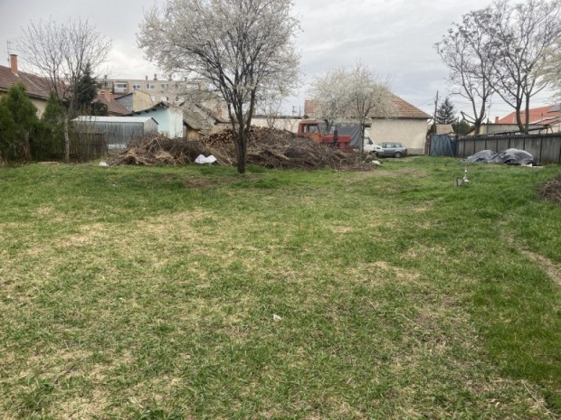 Elad� Telek - H�dmez�v�s�rhely