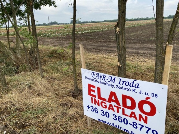 Elad� Term�f�ld - Szeged