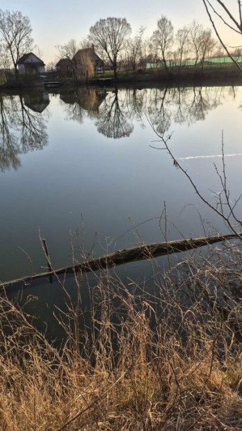 Elad� �d�l�telek Mez�t�r