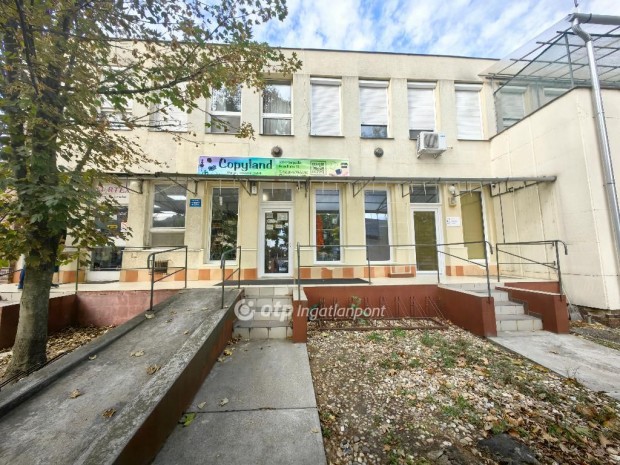 Elad� �zlethelyis�g, Kis�jsz�ll�s