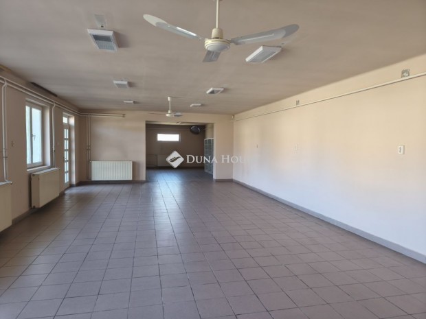 Elad� �zlethelyis�g, Sz�cs�ny