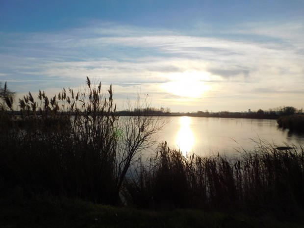 Elad� �zlethelyis�g, V�rpalota 9.900.000 Ft