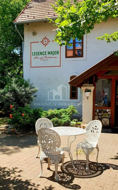 Elad� Vend�gl�t�s, Lesencetomaj 300.000.000 Ft