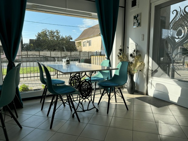 Elad Vendglts, Soltvadkert 170.000.000 Ft