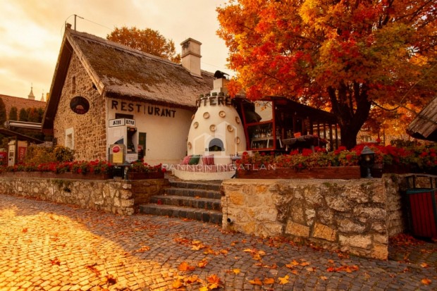 Elad� Vend�gl�t�s, Tihany 490.000.000 Ft