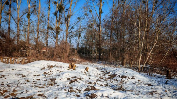 Elad� Zalacs�ny csendes zs�k utc�j�ban, �p�t�si telek