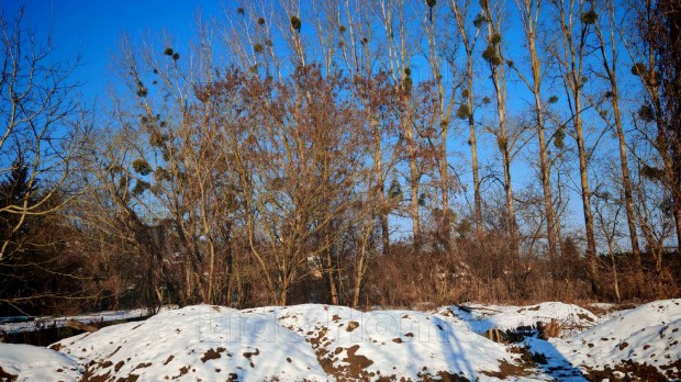 Elad� Zalacs�ny csendes zs�kutc�j�ban, �p�t�si telek