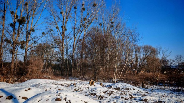 Elad� Zalacs�ny csendes zs�kutc�j�ban, �p�t�si telek