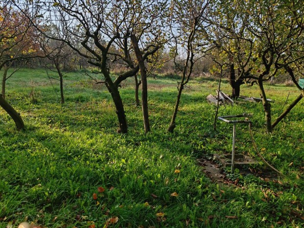 Elad� Z�rtkert Zalaegerszeg