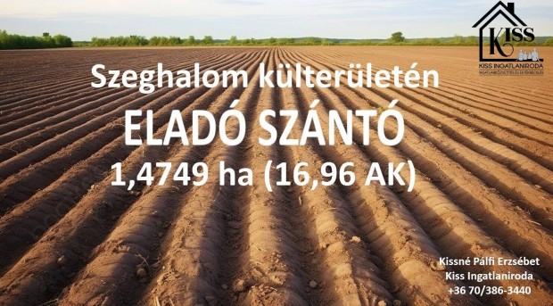 Elad - 1,4749 ha (16,96 AK) sznt elad!