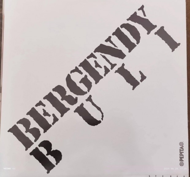Eladó a Bergendy együttes - Bergendy buli bakelitlemez