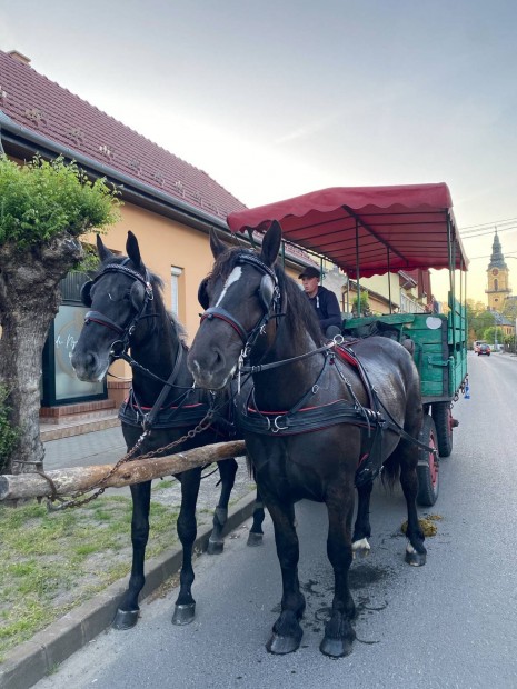 Eladó a lovakon látható kettes szerszám