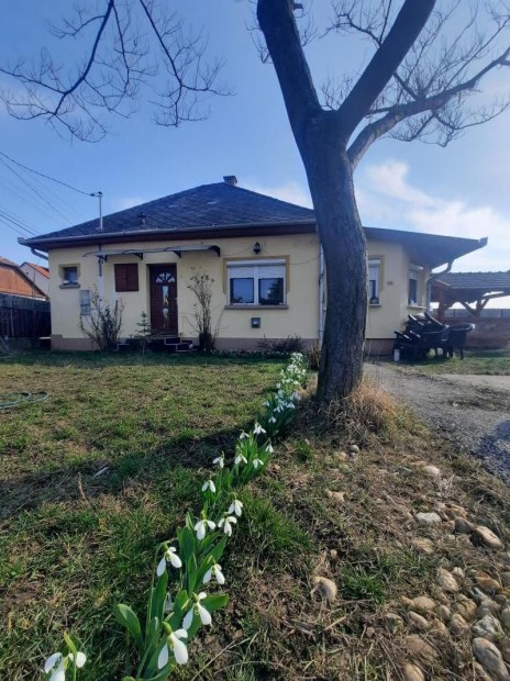 Elad� ad�csi csal�dih�z