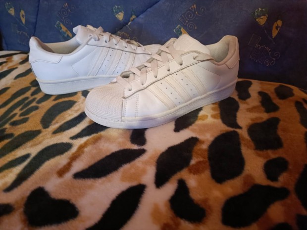 Elad adidas Superstar EU 38 