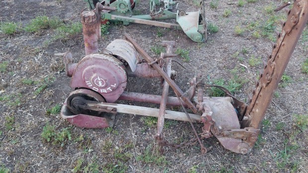 Elad alternl fkasza Mrtl rezgkasza