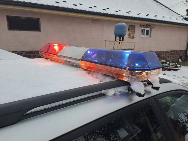 Elad amerikai stlus rendrsgi villog keres fny szirna