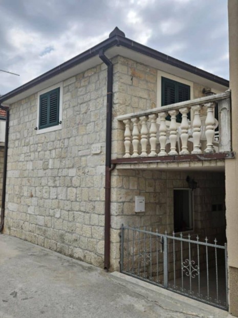 Elad bjos dalmt khz 