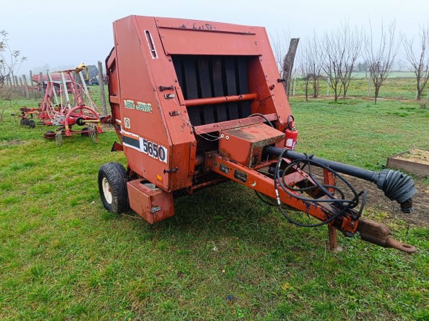 Elad blz,rendtert s rendkpz