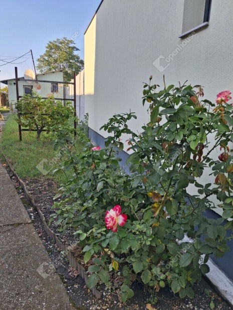 Elad� bar�ts�gos kertkapcsolatos t�rsash�zi lak�s Kom�rom sz�v�ben!