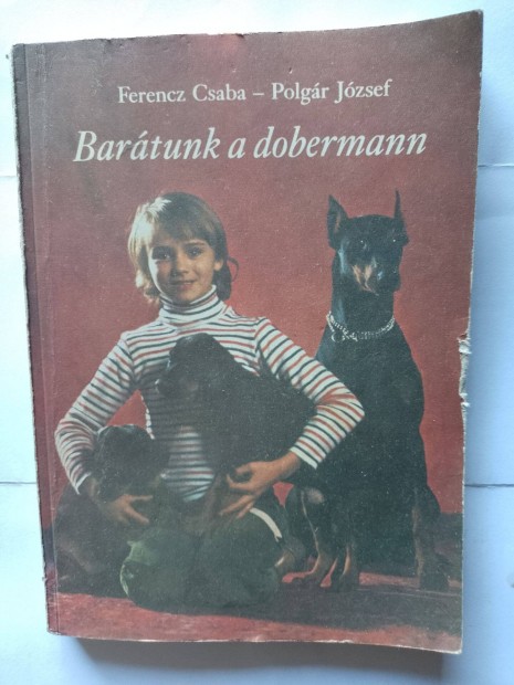 Elad bartunk a dobermann knyv Zalaegerszegen