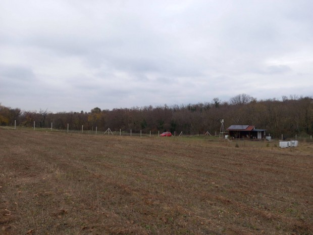 Elad� belter�leti telek 0 Ft-os rezsi �sszkomfortos Tinyhouse