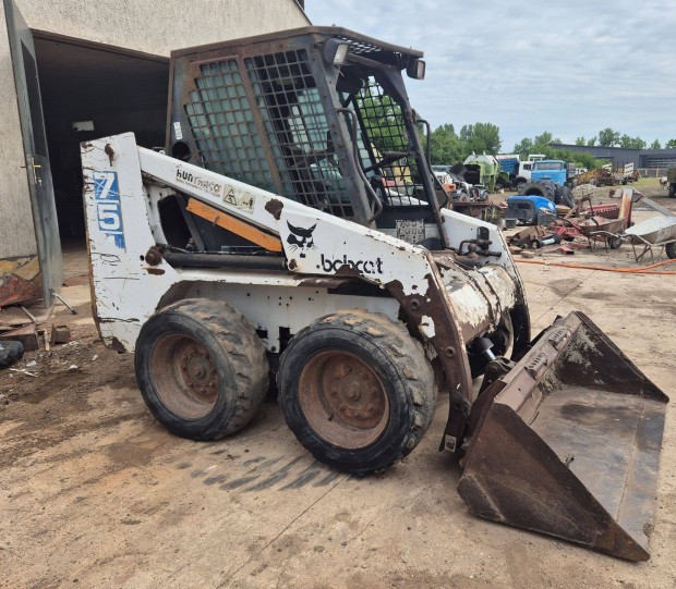 Elad bobcat 751
