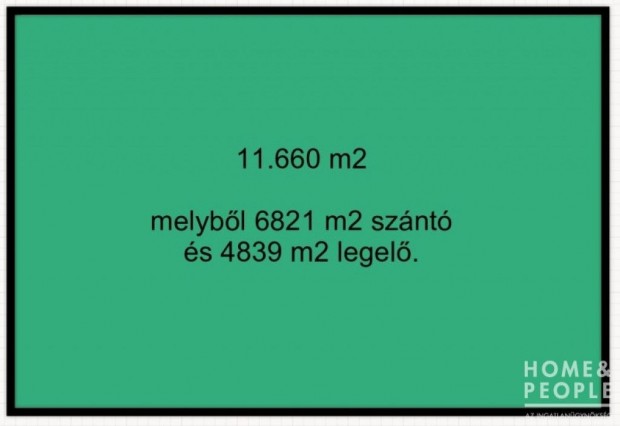 Elad� bord�nyi f�ld! - Bord�ny