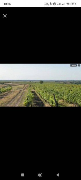 Elad� borsz�l�vel m�velt ter�let Ostoroson kiv�l� adotts�gokkal