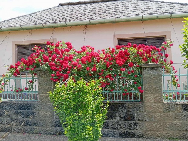 Elad� csal�di h�z(160m2) plusz 700m2 mell�k�p�let