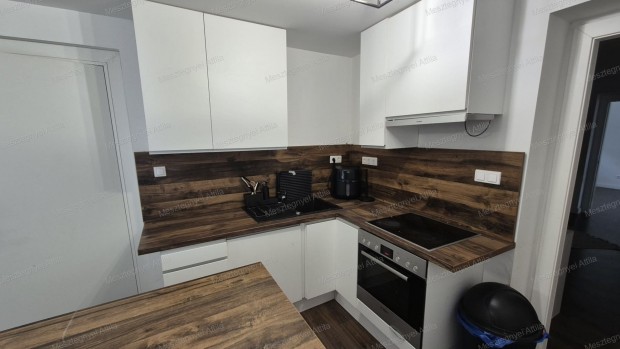 Elad� csal�di h�z Fert�szentmikl�son  nagy telekkel,