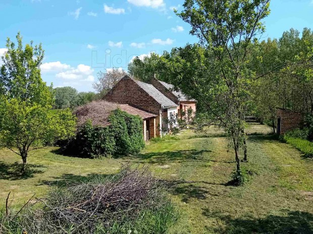 Elad� csal�di h�z Rom�ndon