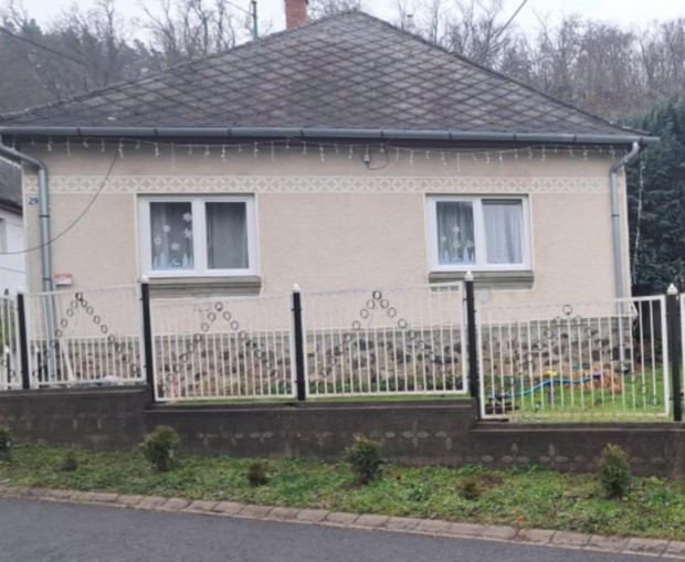 Elad csaldi hz Salgtarjn Plfalva rszn