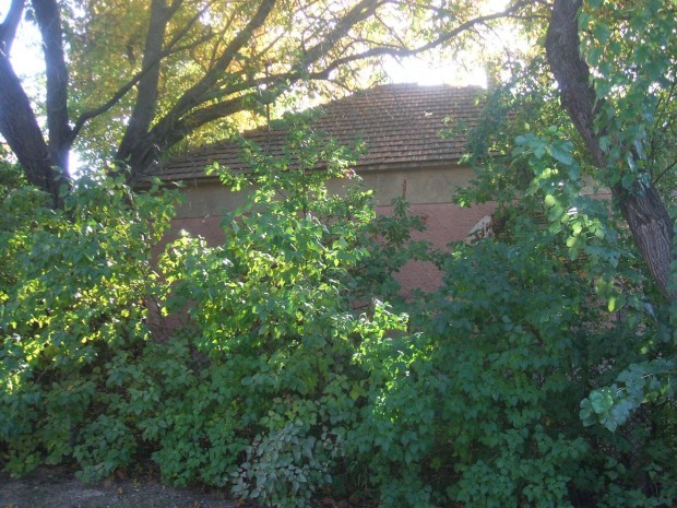 Elad� csal�di h�z, Erd�kertes, Bocskai utca