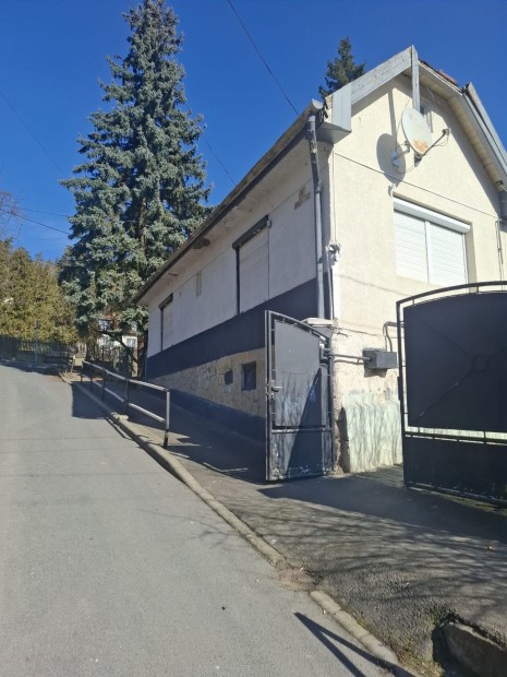 Elad� csal�di h�z, Salg�tarj�n